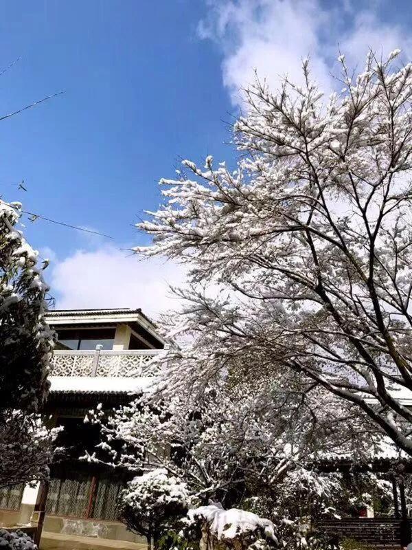 Garden Hotel Suzhou (Jiangsu) Exterior foto